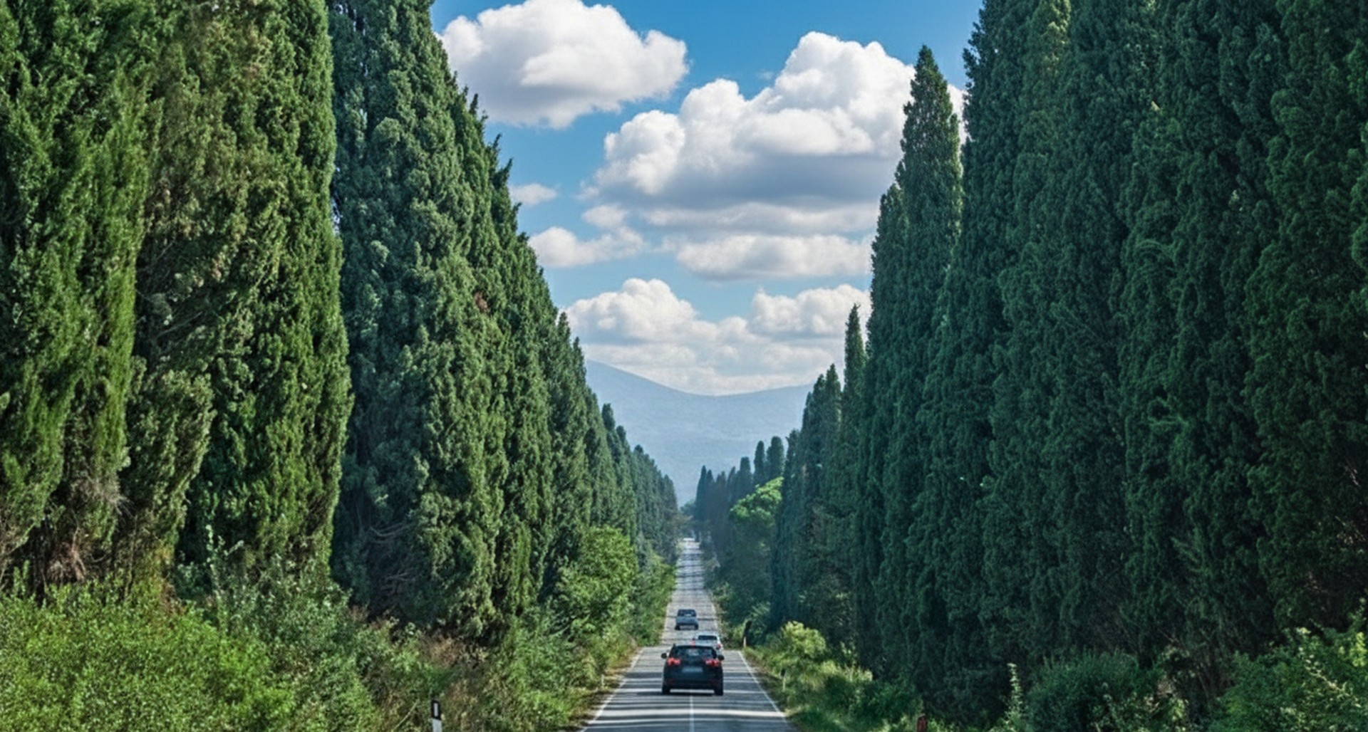 Viale dei Cipressi, la strada d’accesso al piccolissimo borgo ricco di fascino e patria del vino