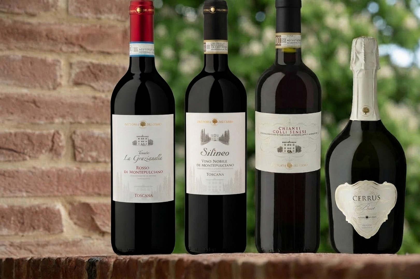 esperienza-la-storia-di-Fattoria-del-Cerro