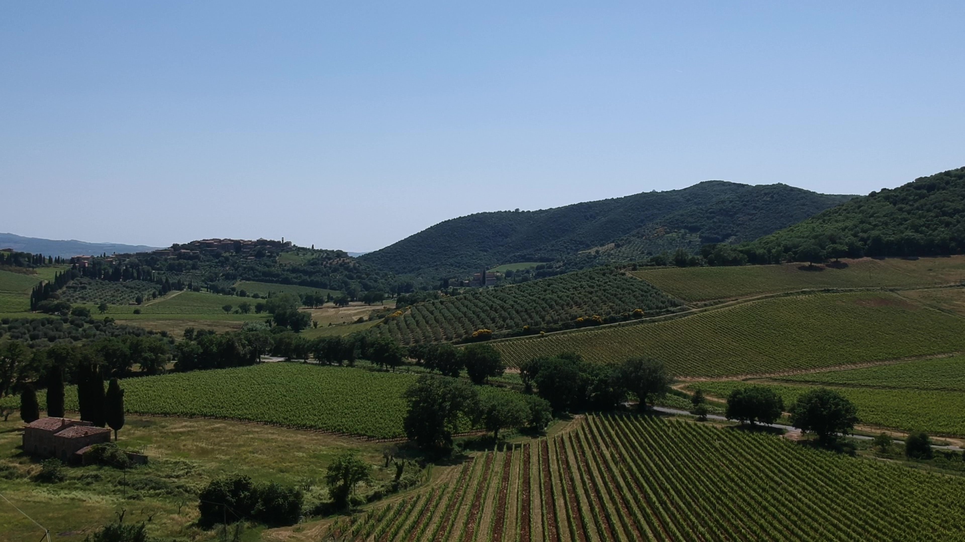 Vigneti dall’alto