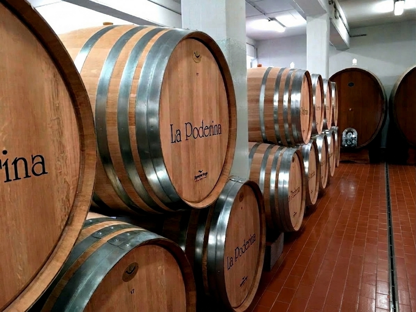 new oak barrel la poderina montalcino