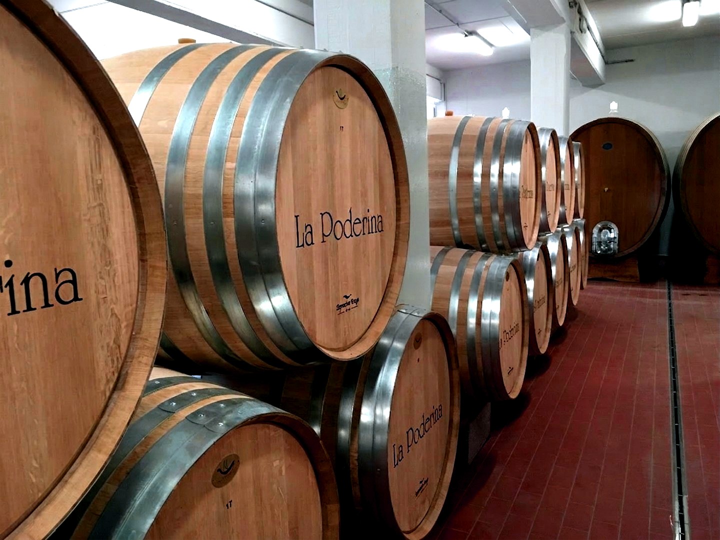 nuova bottaia la poderina montalcino