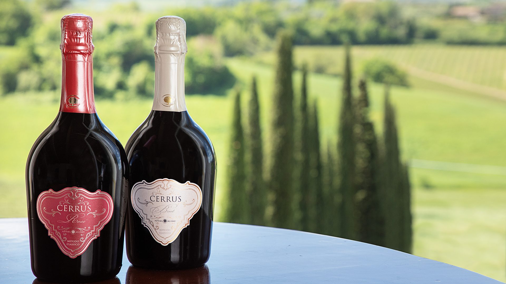 cerrus e cipressi