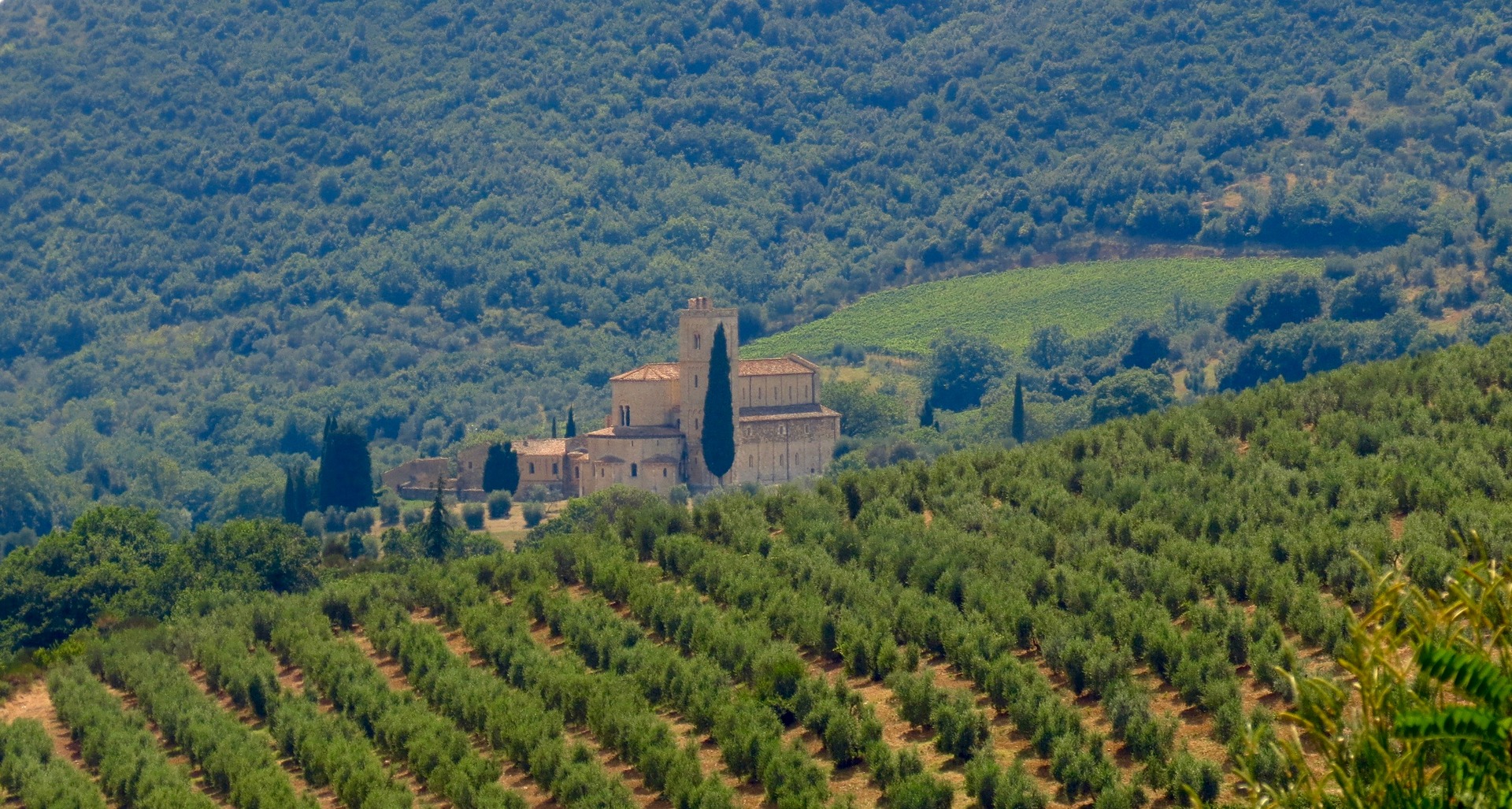 montalcino-sant-antimo