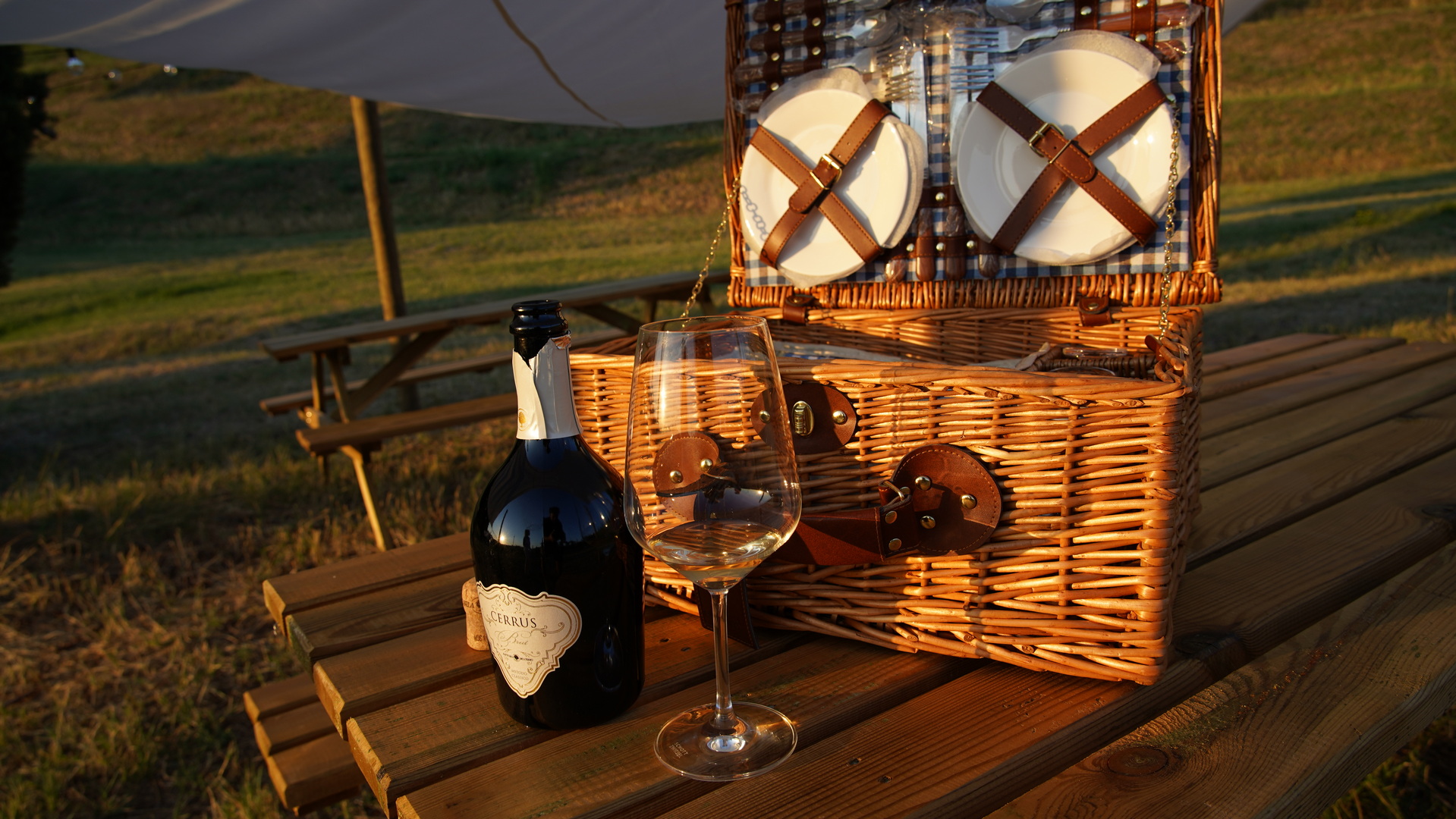 picnic in vigna con Cerrus a Fattoria del Cerro a Montepulciano