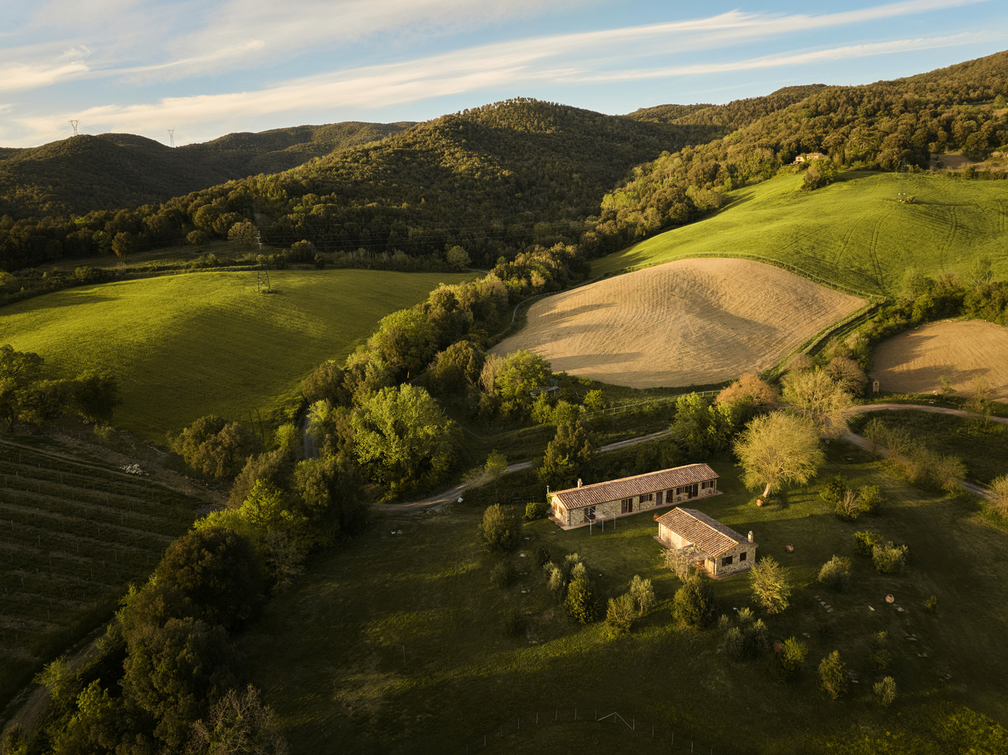 Monterufoli da drone1