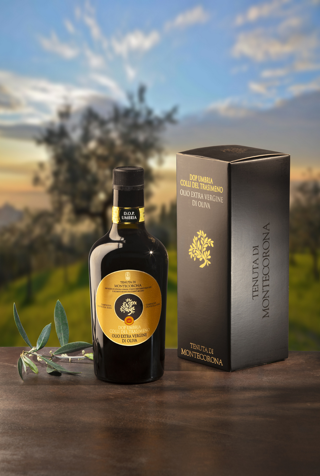 Olio Montecorona con astuccio ambientata