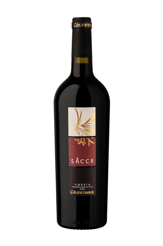 Saccr nuova 2