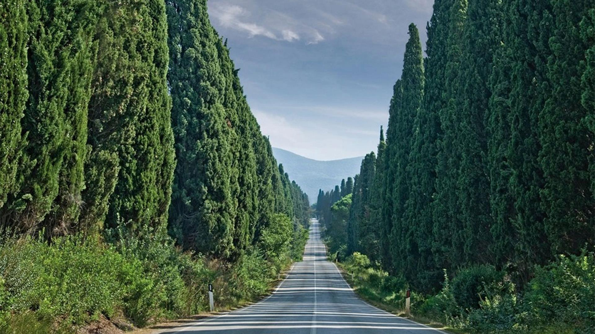 Viale Bolgheri