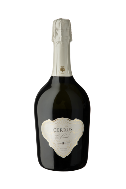 cerrus brut