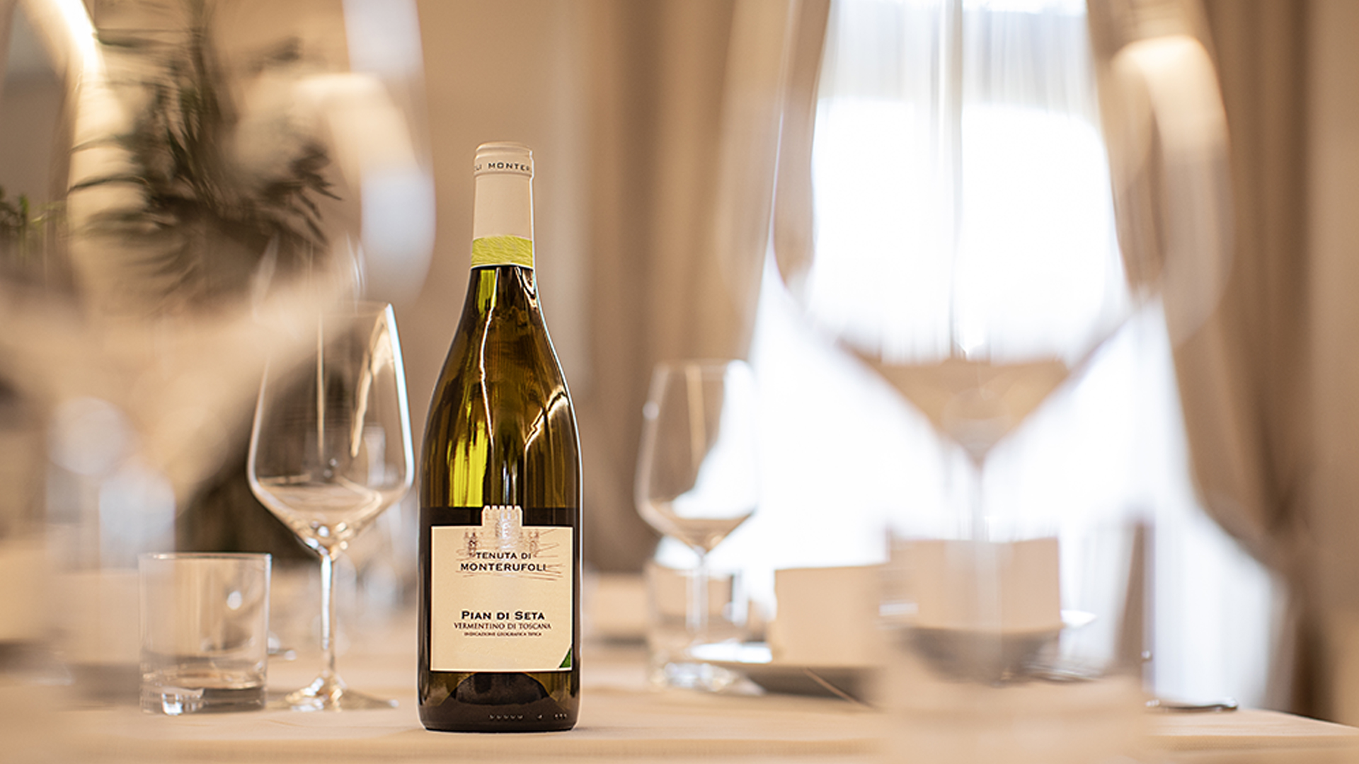 foto per esperienze tasting vermentino