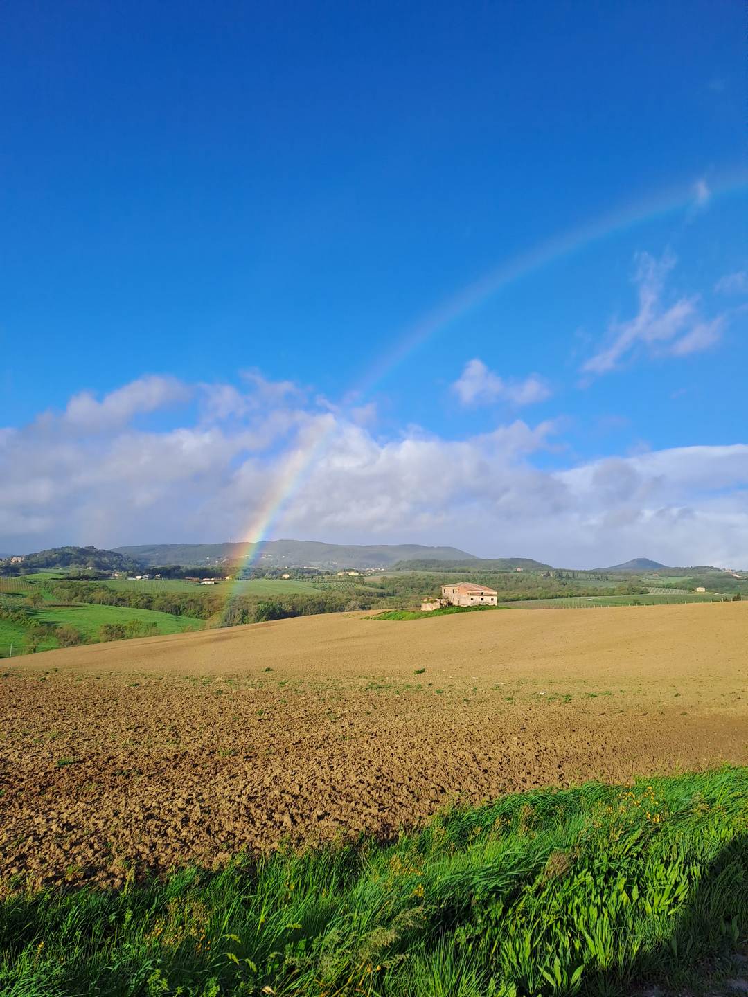 Arcobaleno vigneto
