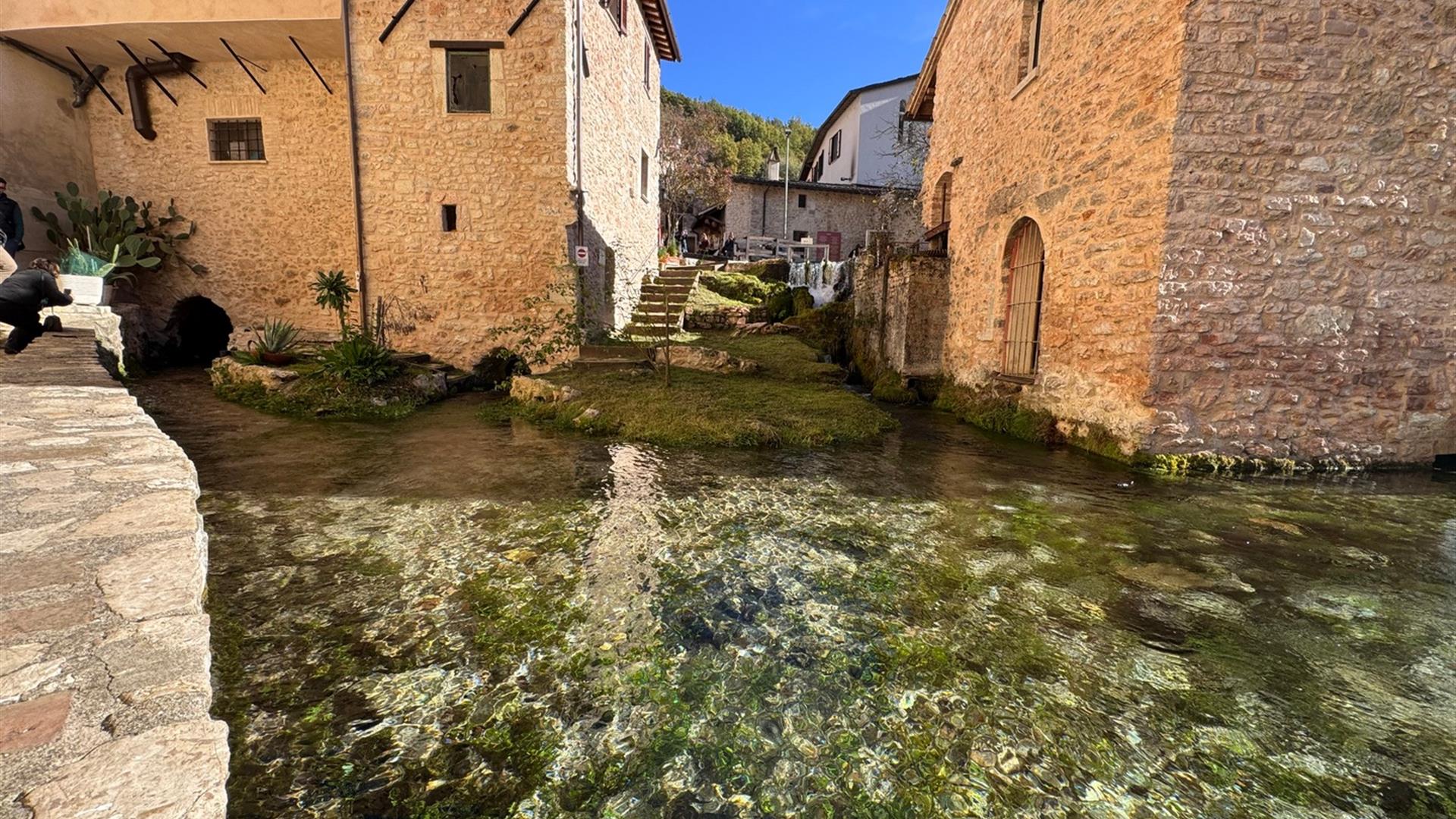 Rasiglia3