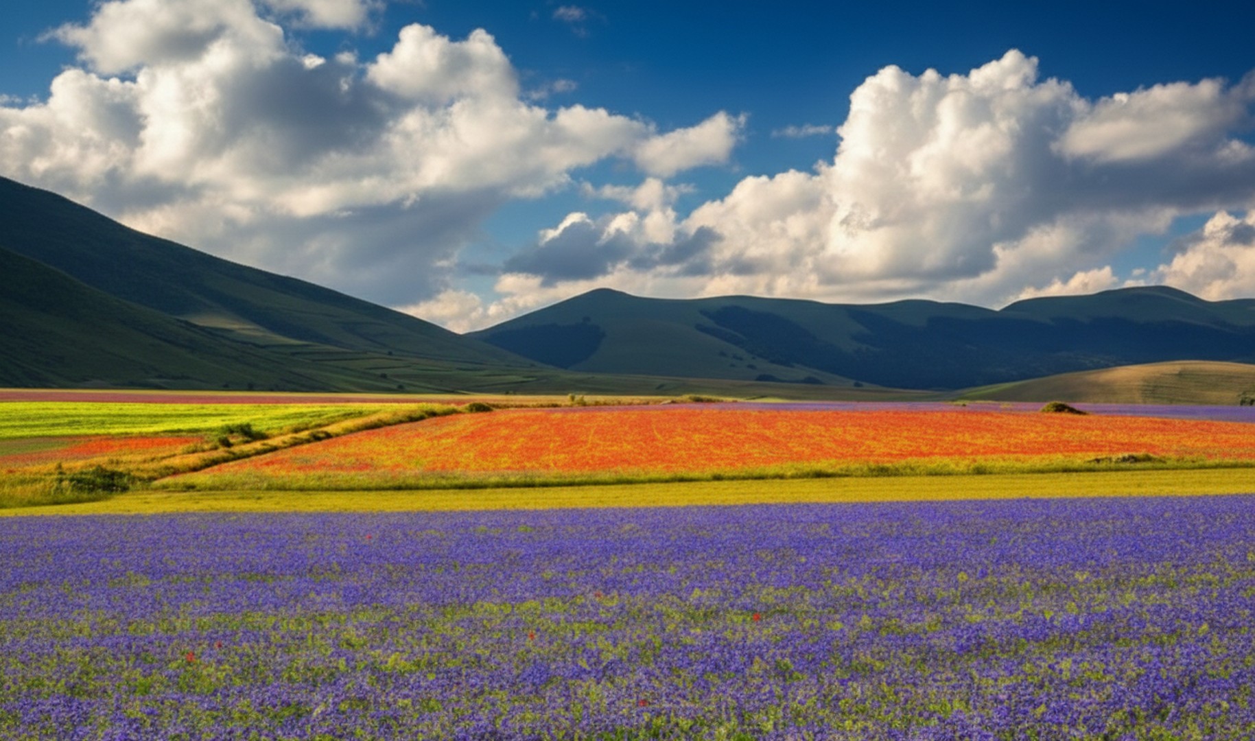 la fioritura a Castelluccio di Norcia è un miracolo che si compie una volta l'anno