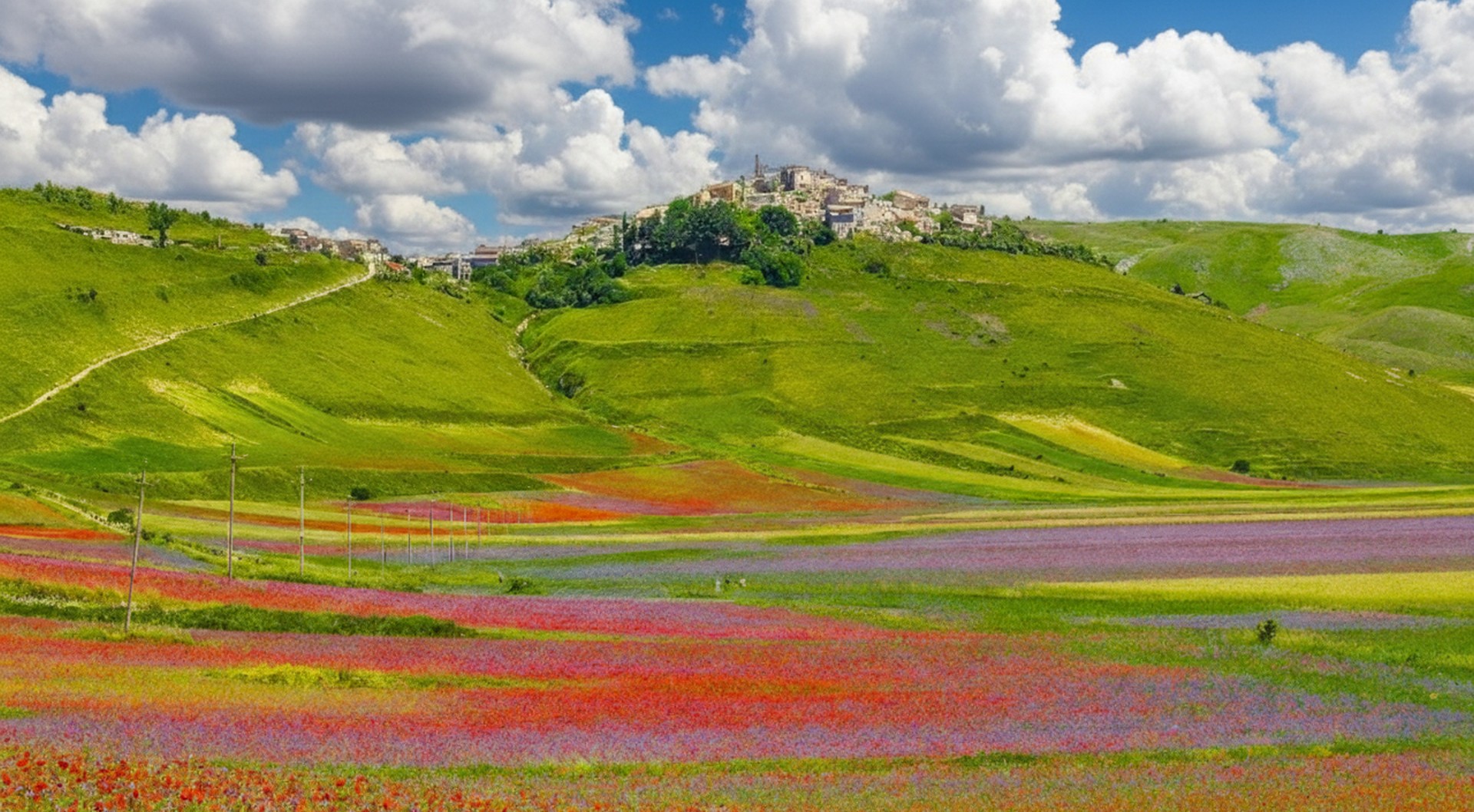 Castelluccio di Norcia e la fioritura dei campi di lenticchie