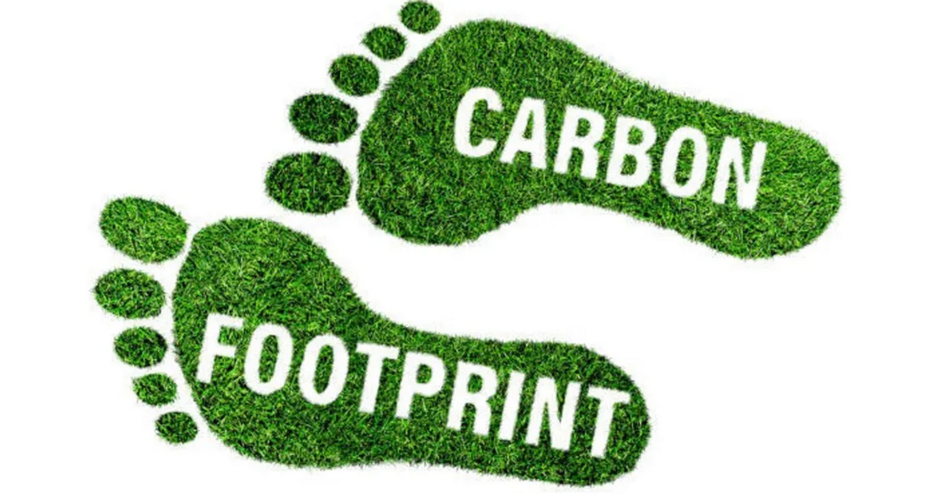 Carbon2