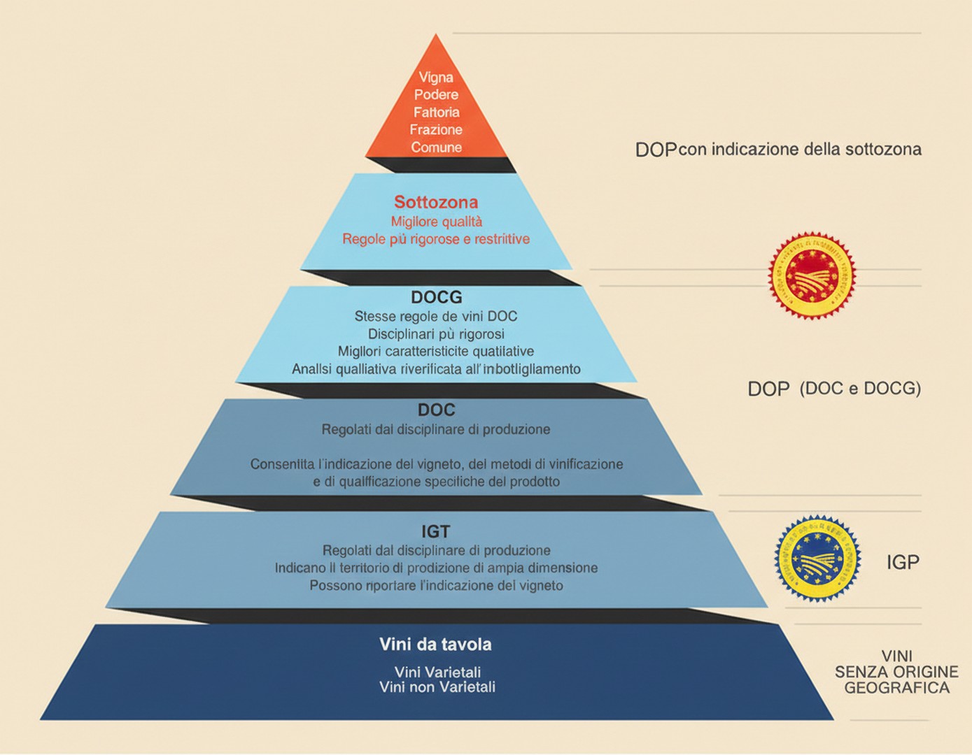 la piramide della qualità che rappresenta la classificazione del vino nata per garantire trasparenza e qualità, tutelando sia i produttori che i consumatori