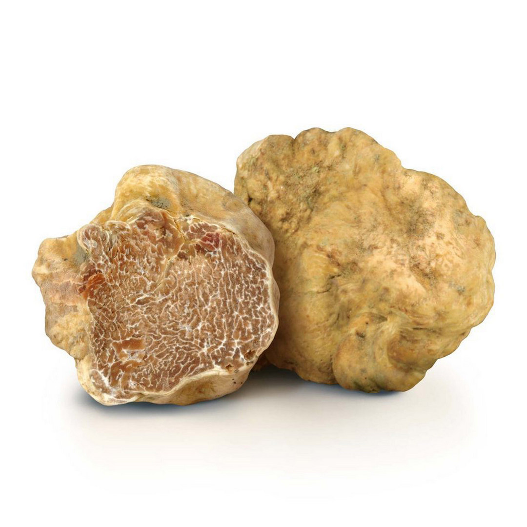 Tartufo bianco