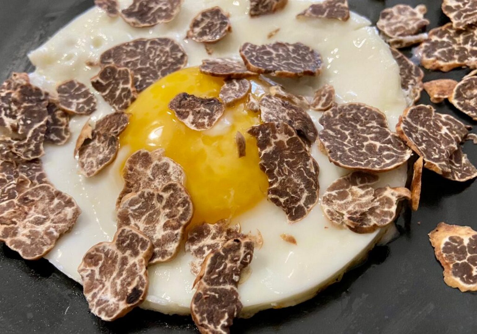 Tartufo bianco3