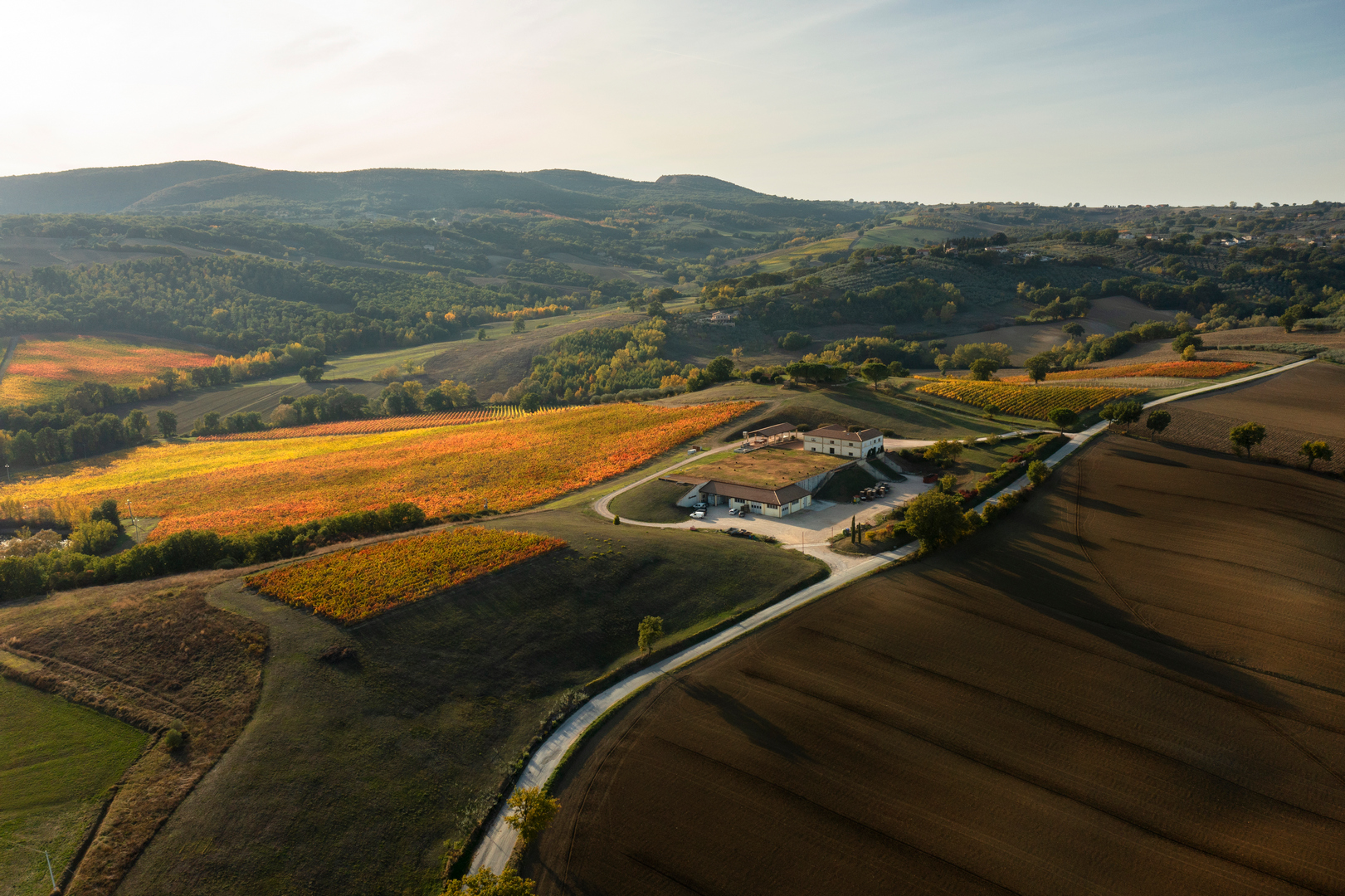 Vigneti di Còlpetrone a Montefalco, cuore della produzione di Sagrantino in Umbria