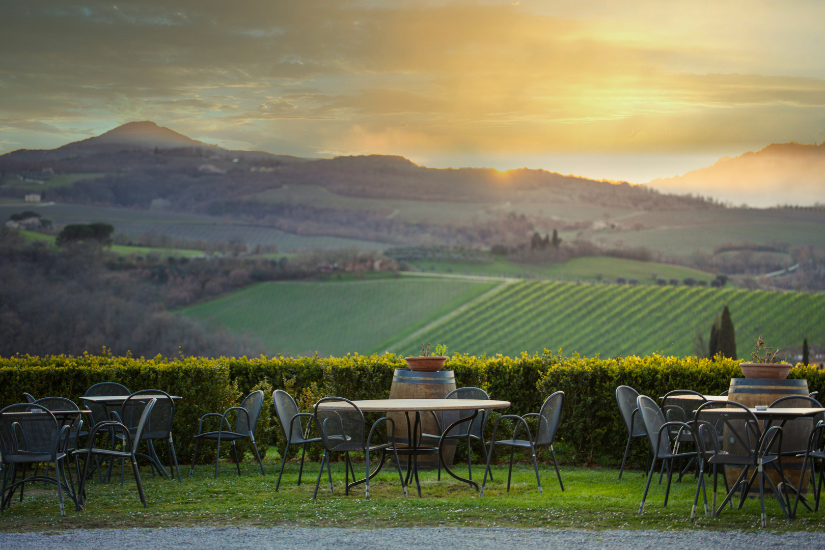 Panoramica del territorio e dei vigneti della Fattoria del Cerro a Montepulciano