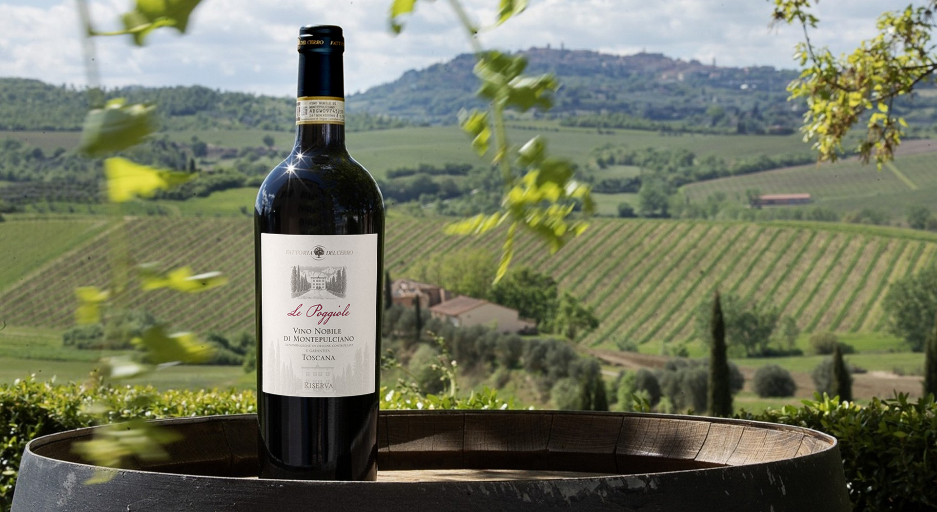 Degustazione di vino Nobile a Fattoria del Cerro con vista sui vigneti, Montepulciano e le colline senesi