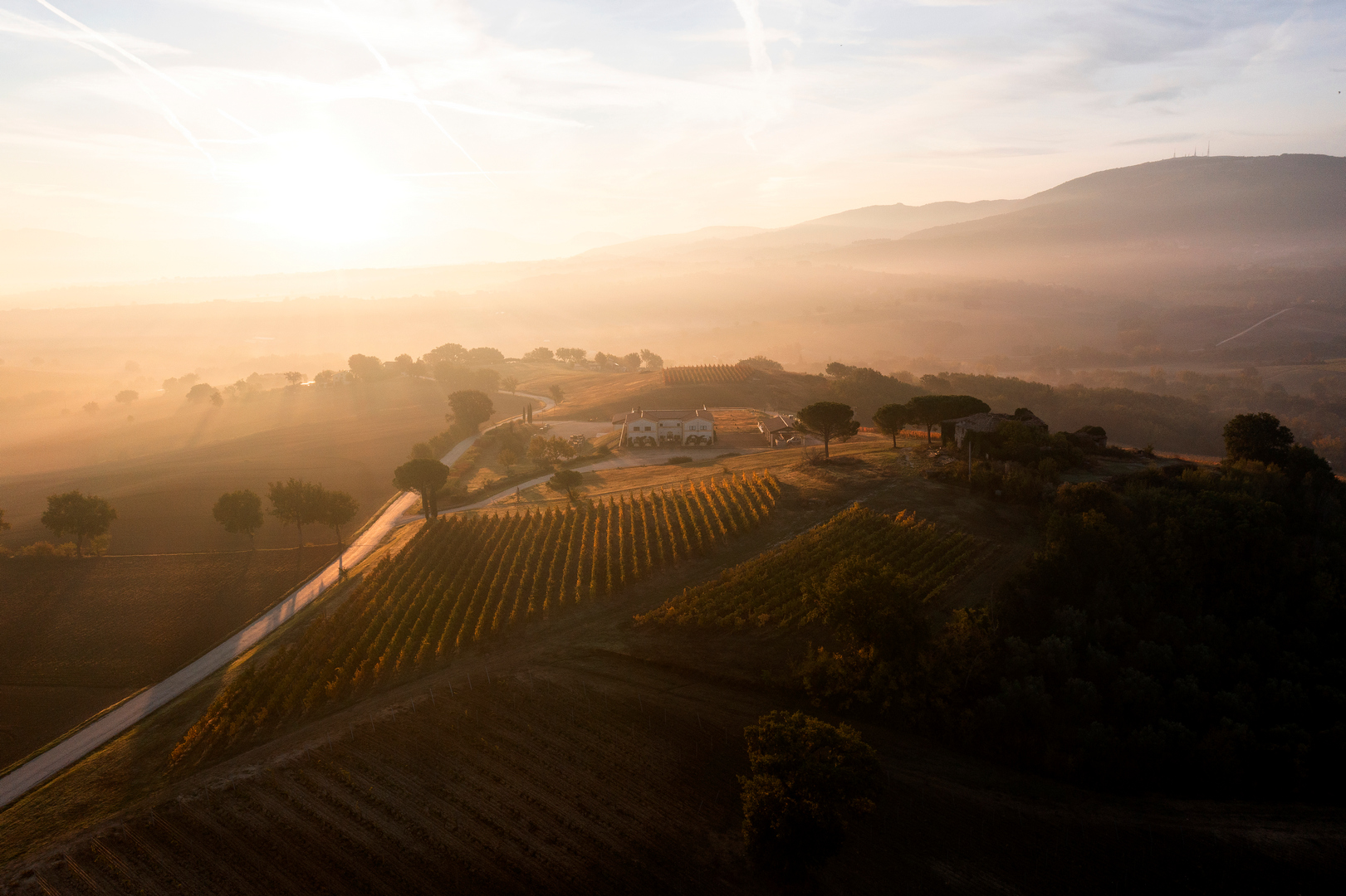 Organizza una visita nelle cantine delle tenute umbre e toscane di Tenute del Cerro