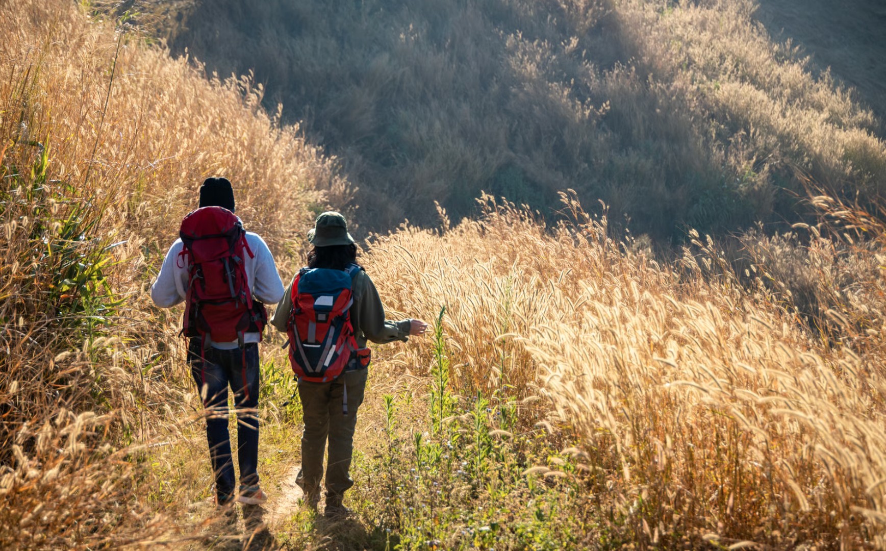 trekking-costa-etruschi-via-francigena-monterufoli