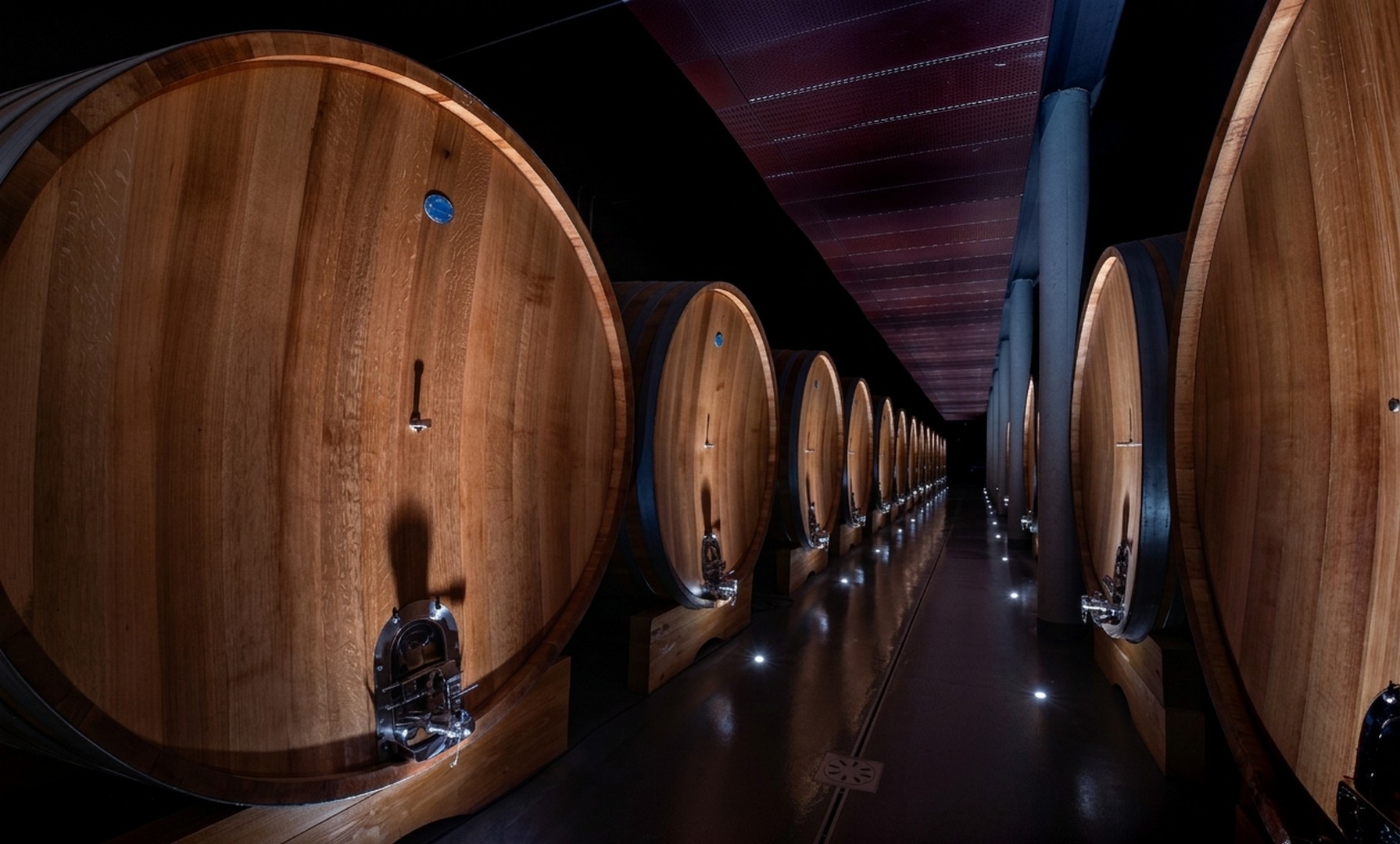 Organizza una visita in cantina a Fattoria del Cerro a Montepulciano, tra architettura, innovazione e sostenibilità