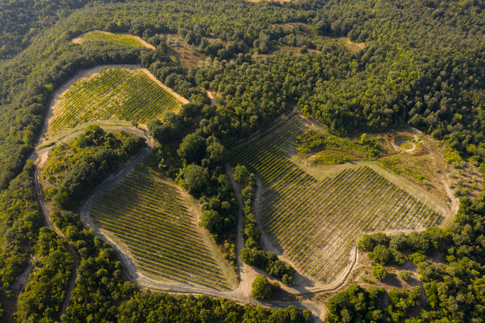 Agriturismo della Tenuta di Monterufoli, punto di partenza dei percorsi per trekking nella Riserva Naturale di Monterufoli-Caselli