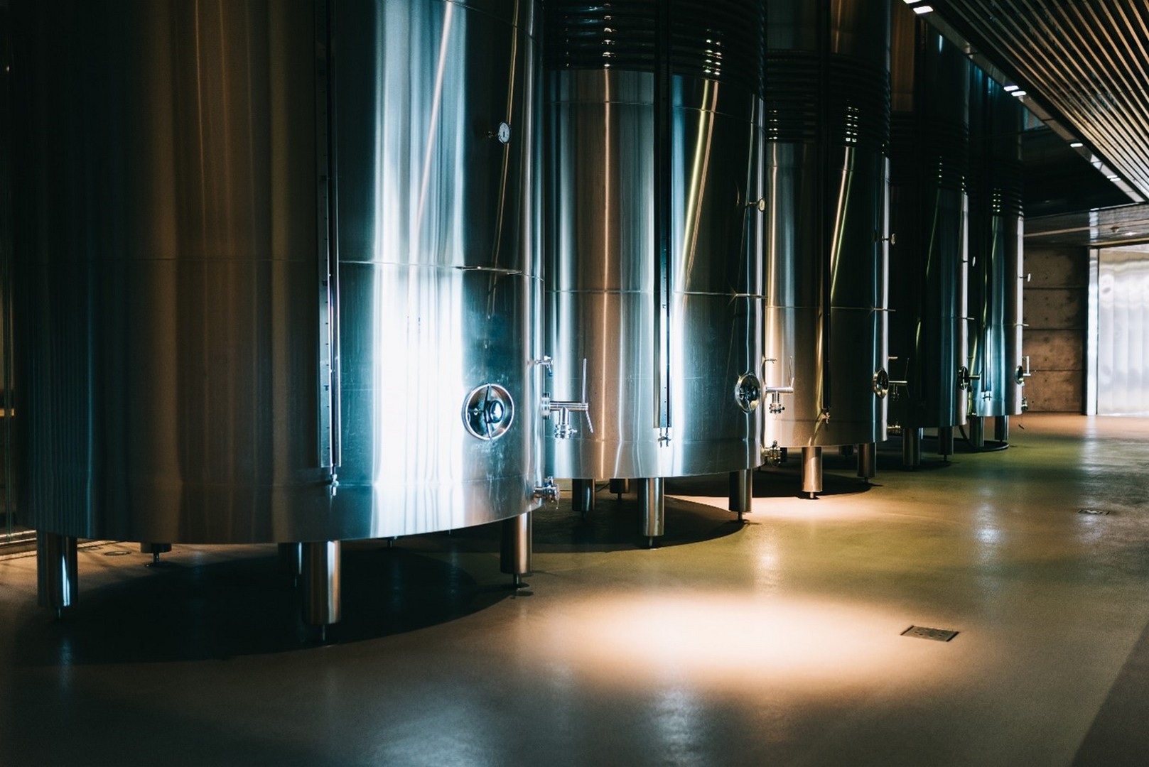 Visitare cantina di design, un percorso in cantina dove l’architettura incontra la produzione vitivinicola