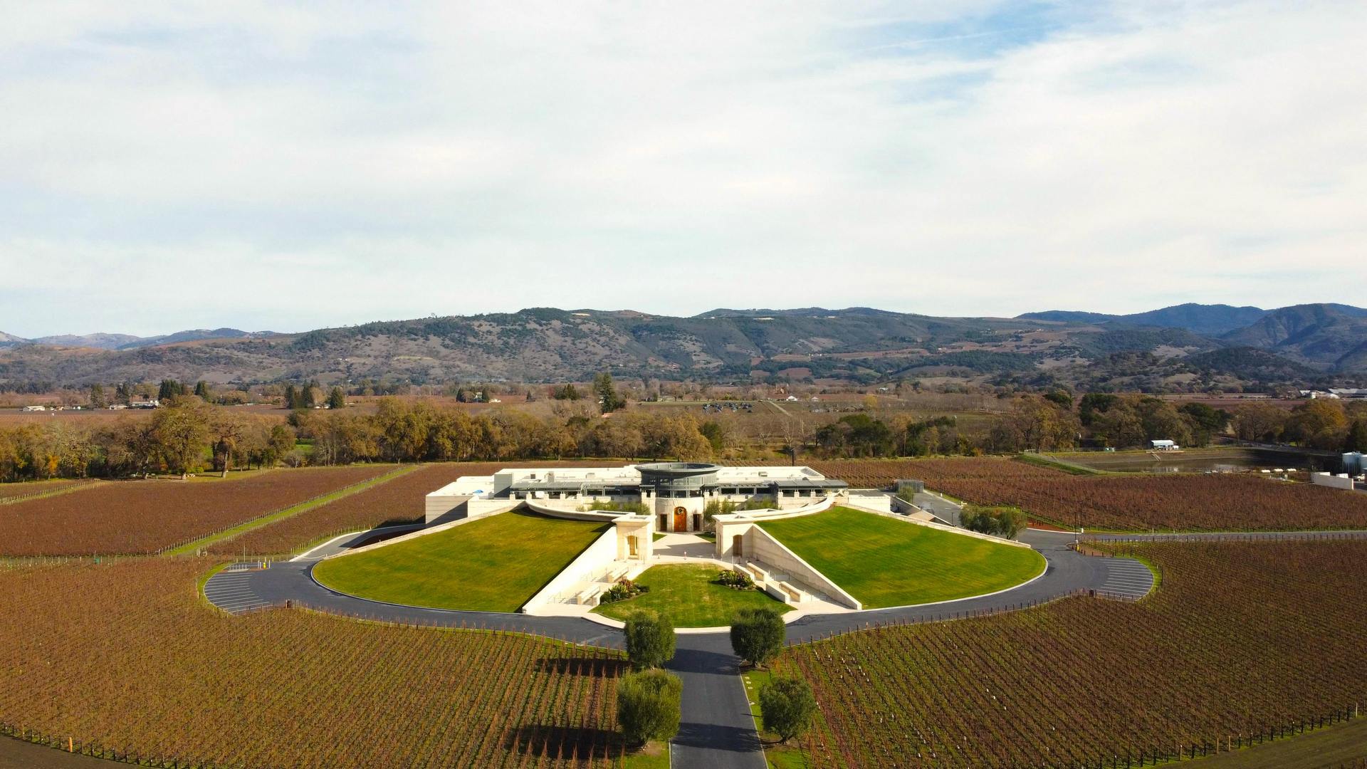 Visitare cantina di design: un viaggio dalle prime esperienze in California alle eccellenze del design italiano